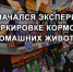 Вниманию предприниматели! - Вознесенский муниципальный округ