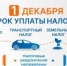 1 декабря наступает срок уплаты имущественных налогов! - Вознесенский муниципальный округ